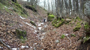 Appennino Tosco-emiliano