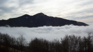 Appennino Tosco-emiliano