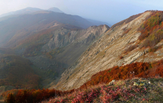 Ciapa Liscia e Roncolla