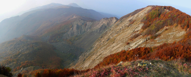 Ciapa Liscia e Roncolla