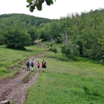 Pascoli tra il Lama e il Colle Castellaccio