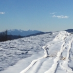 Alpi Apuane vista dal M. Pepli