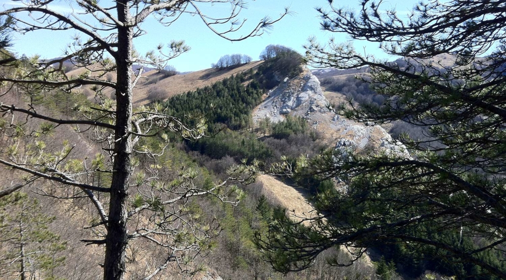 veduta dei calcari di groppo del vescovo