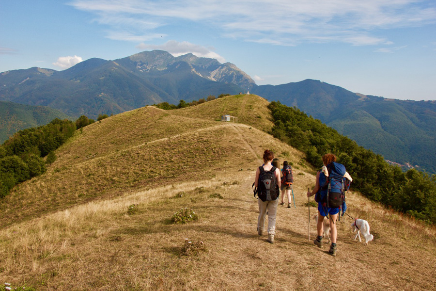 Via Monte Bardone