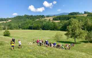 La giornata dei Fazzoletti Gialli a Bedonia e Tornolo