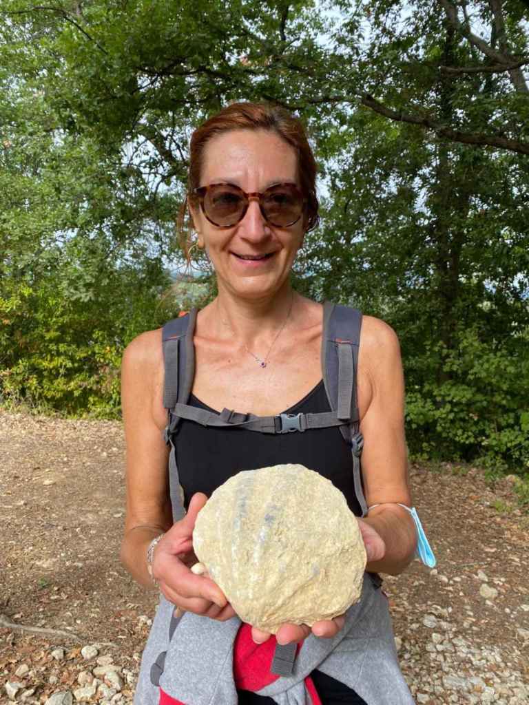 Conchiglie fossili lungo la Via Francigena