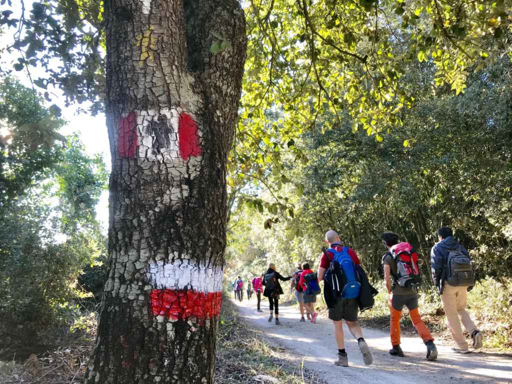 In cammino sulla Francigena verso Siena