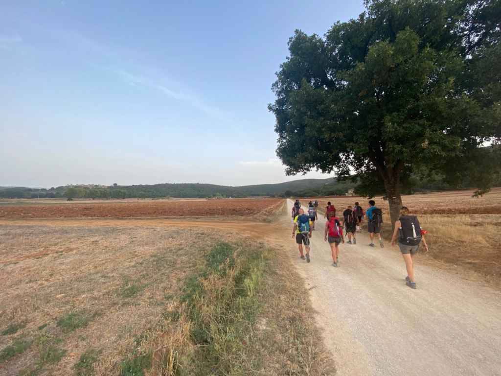 In vista di Monteriggioni