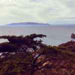 L'isola del Giglio dall'Argentario